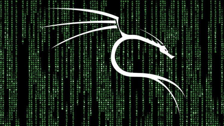 Chuyên gia Hacking Đạo đức Chuyên nghiệp với Kali Linux v2026