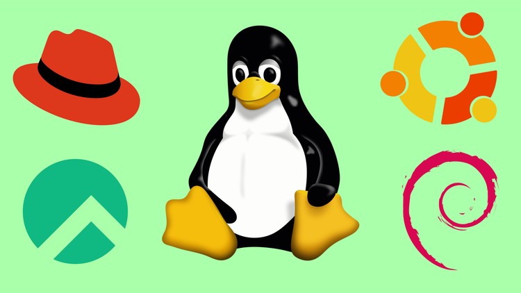 Tìm hiểu mọi thứ về Linux! Đã cập nhật v2026! Hơn 100 giờ học
