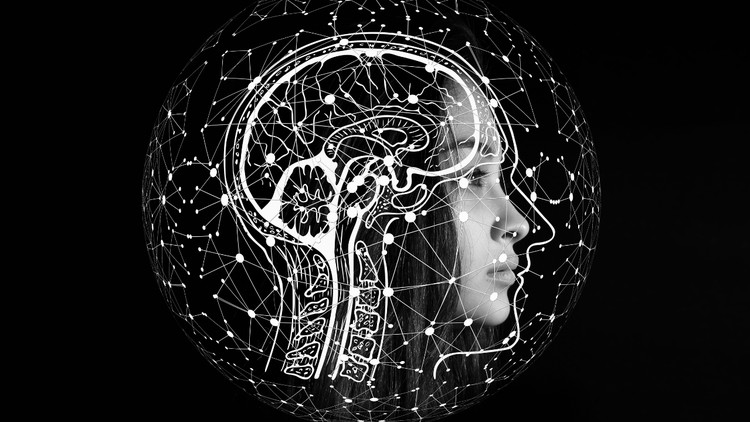 Tìm hiểu về Tâm thần - Miễn dịch - Thần kinh (Psychoneuroimmunology)