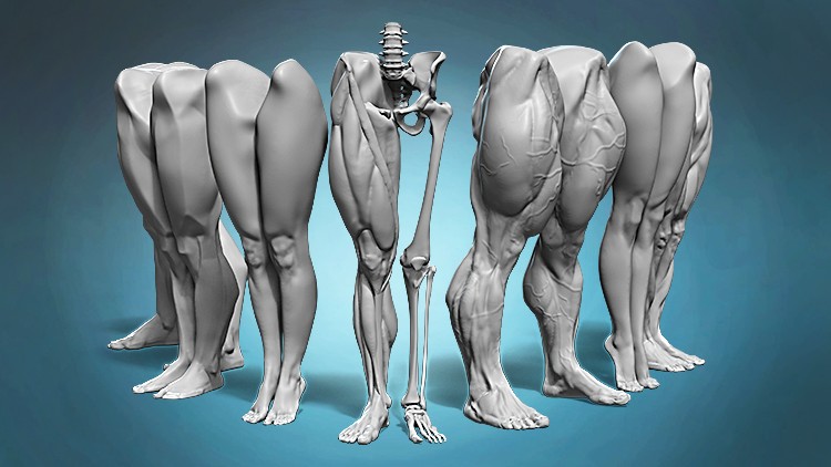 Khóa học giải phẫu chân và bàn chân