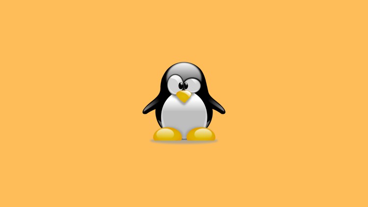 Học Ubuntu Nhanh Chóng: Học, Thực Hành, và Thăng Tiến Sự Nghiệp