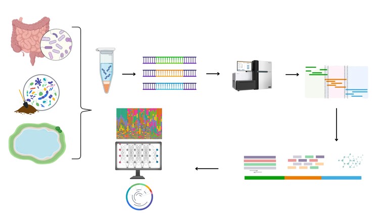 Làm chủ phân tích dữ liệu Metagenomics và Microbiome bằng Linux