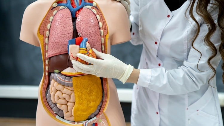 Thuật ngữ Y khoa cho Mã hóa Y tế, Thanh toán & Chăm sóc Sức khỏe