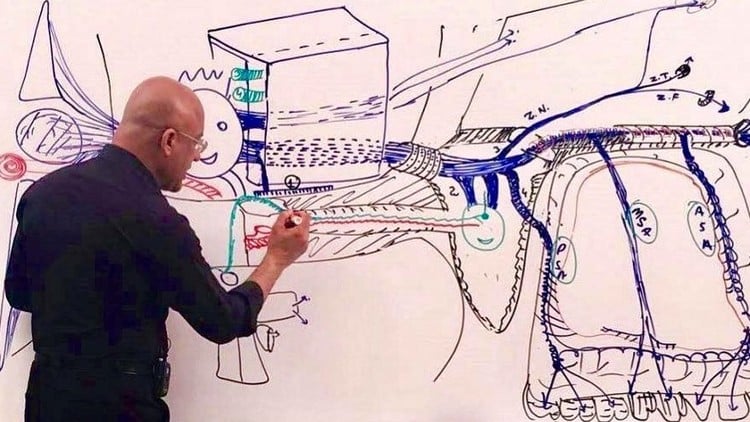 Làm chủ chuyên ngành Thần kinh học và Giải phẫu Thần kinh.