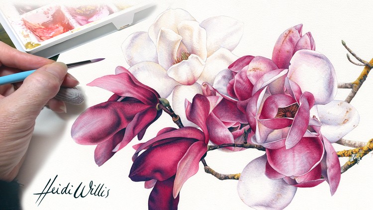 Vẽ Màu Nước và Tranh Thực Vật Chân Thực - KIẾN THỨC CƠ BẢN VỀ STUDIO