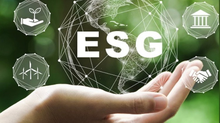 Khóa học toàn diện về Môi trường, Xã hội và Quản trị (ESG)