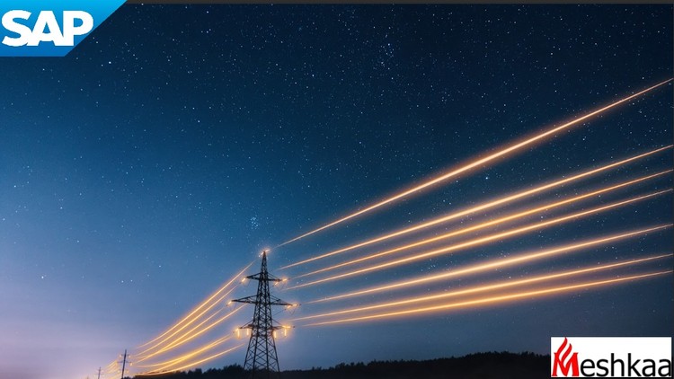 SAP IS-U DM, sap ISU DM, isu Device Management, SAP DM
