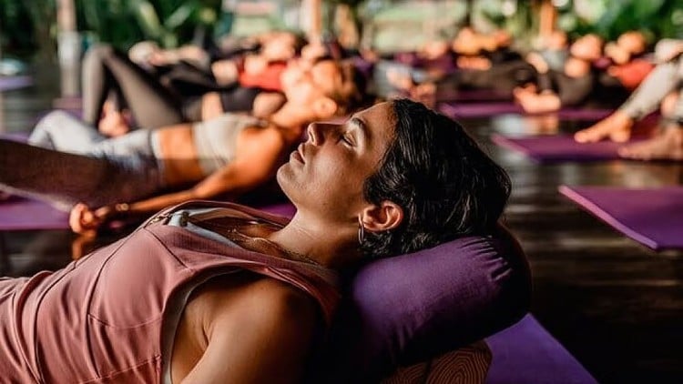 Trị liệu Cơ thể và Giải phóng Chấn thương (Chứng chỉ)